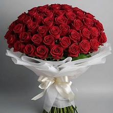 Букет 101 Красная роза Блэк Мэджик в Лузе