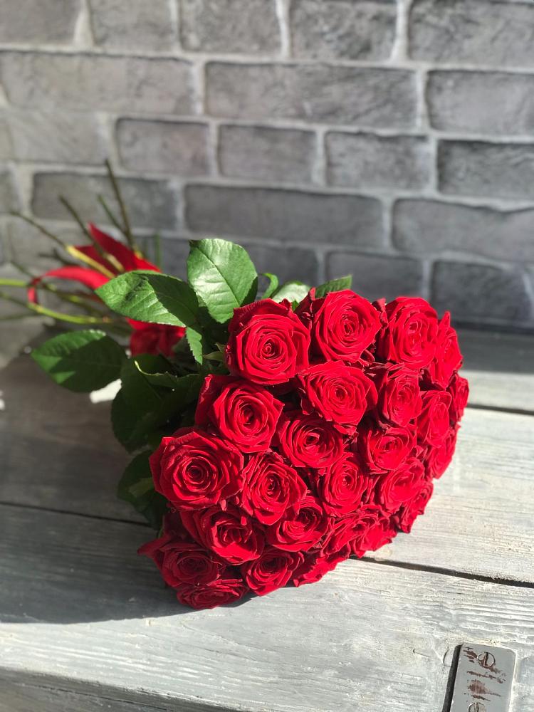 Букет Красные розы Фридом в Лузе