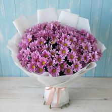 Букет цветов из:  Хризантемы в Лузе