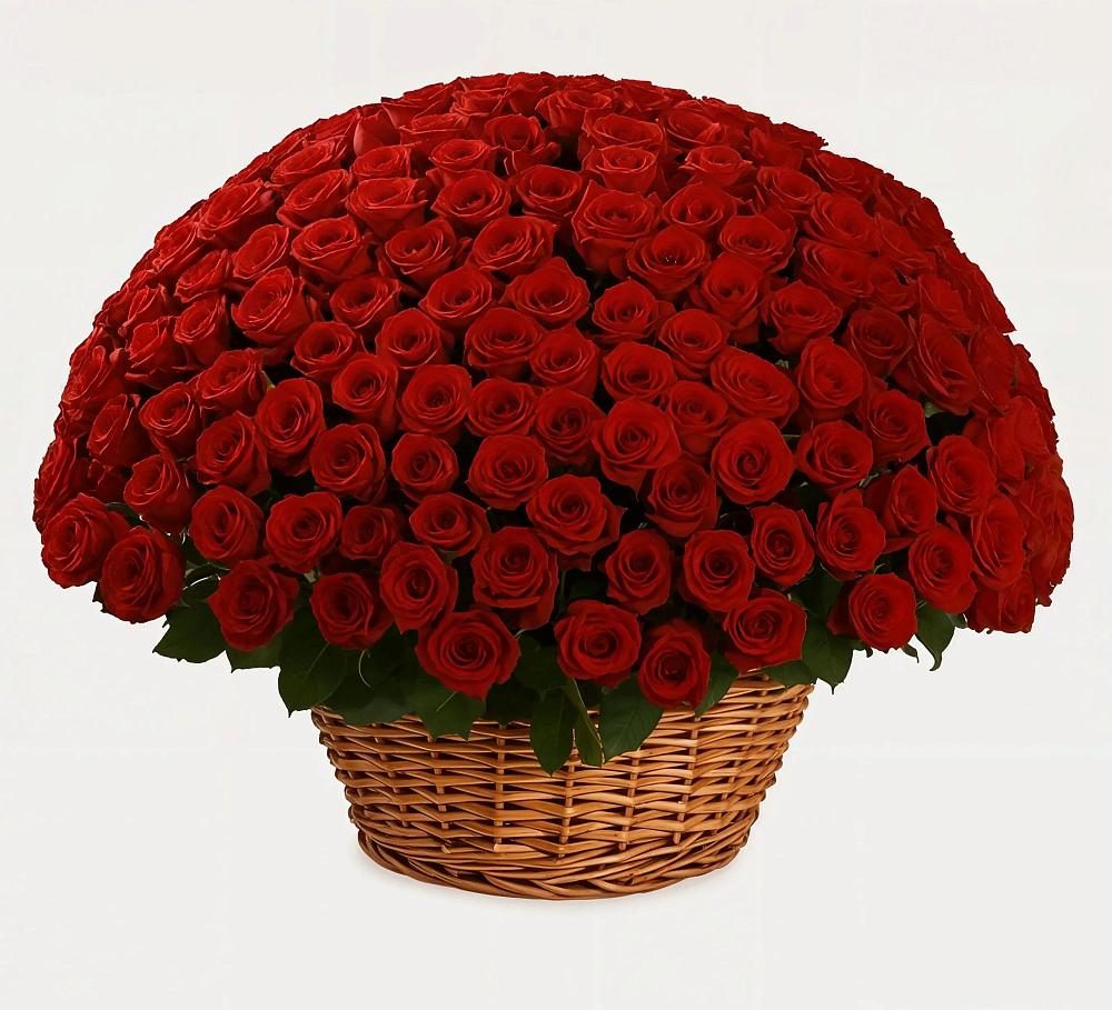 Премиум букет из: Розы в Лузе