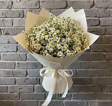 Букет цветов из:  Ромашки в Лузе