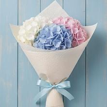 Букет цветов из:  Гортензия в Лузе
