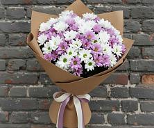 Букет цветов из:  Хризантемы #REPLACE_PRED# Лузе