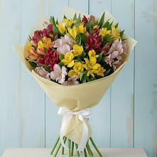 Букет цветов из:  Альстромерии в Лузе