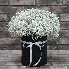 Цветочная композиция из Гипсофила в шляпной коробке #REPLACE_PRED# Лузе