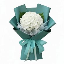 Букет цветов из:  Гортензия #REPLACE_PRED# Лузе